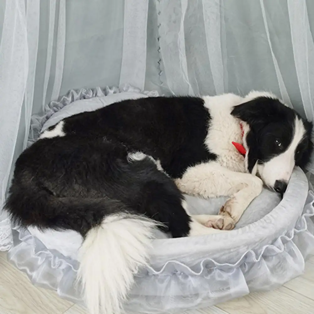 All Frills Pet Bed - Image 3